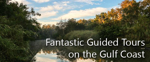 Fantastic Guided Tours on the Gulf Coast