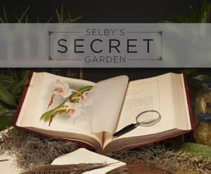 Selby Gardens' Secret Garden
